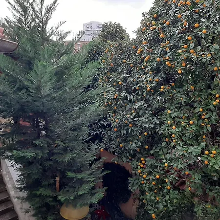 Enki's Garden Τίρανα