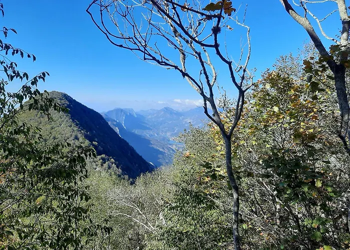 Enki's Konukevi Tiran