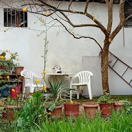 Enki's Garden Pensionat Tirana
