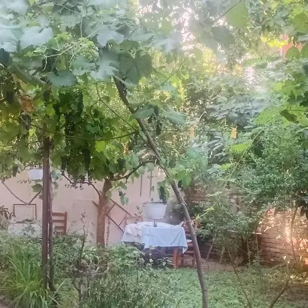 Enki's Garden Πανσιόν Τίρανα