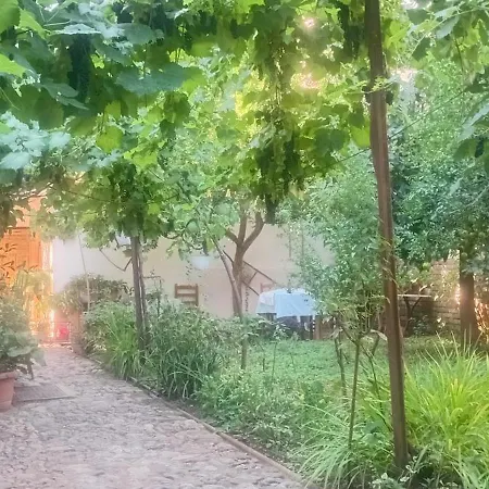 Πανσιόν Enki's Garden Τίρανα