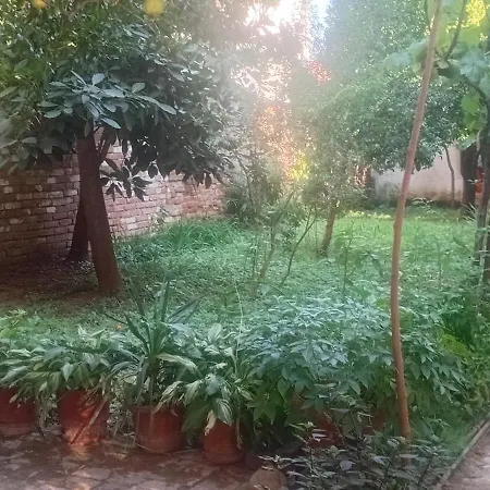 Enki's Garden Τίρανα