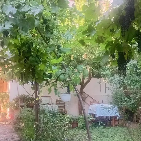 Guest house Enki's Garden