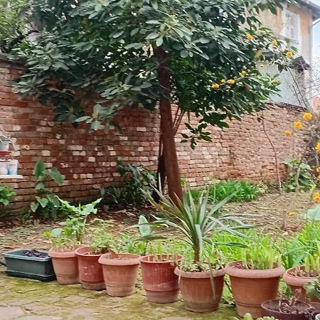 Enki's Garden Πανσιόν 4*