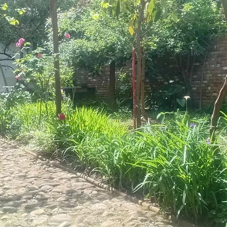 Enki's Garden Τίρανα