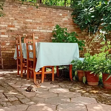 Enki's Garden 4* Τίρανα