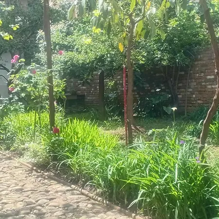 Enki's Garden Πανσιόν 4*