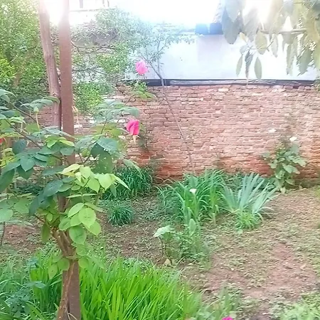 Enki's Garden Πανσιόν Τίρανα