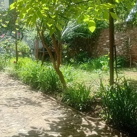 Enki's Garden Τίρανα