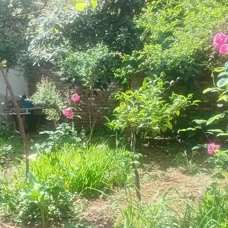 Enki's Garden
