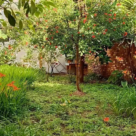 Πανσιόν Enki's Garden Τίρανα