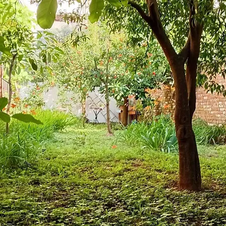 Enki's Garden Τίρανα