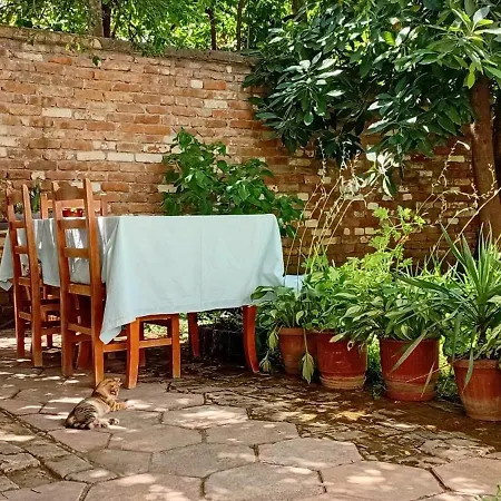 Enki's Garden 4* Τίρανα
