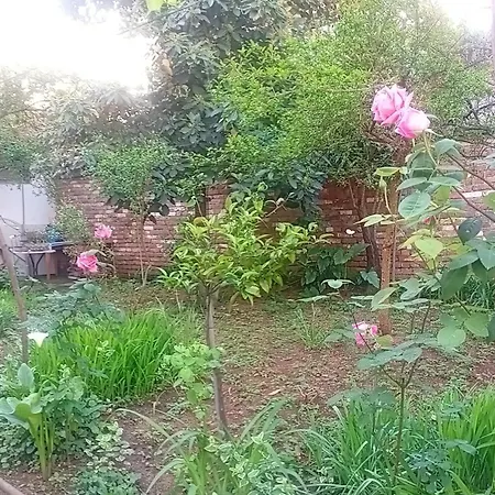 Enki's Garden Τίρανα