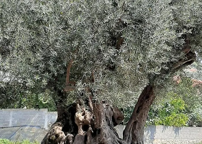 Enki's Pensjonat